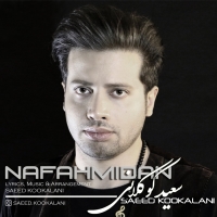 Saeed-Kookalani-Nafahmidan