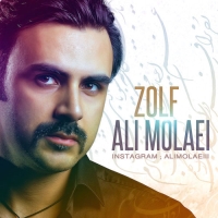 Ali-Molaei-Zolf