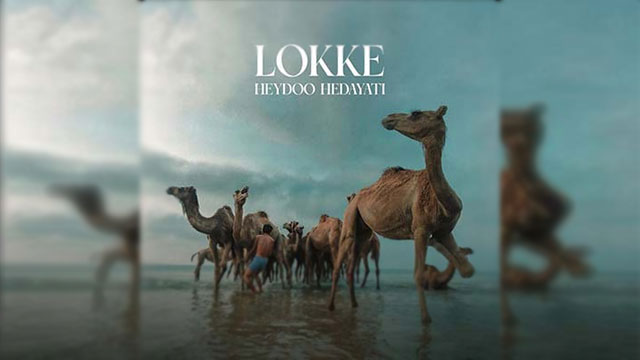 Lokkeh