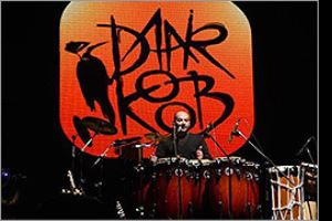 نام سومین آلبوم گروه دارکوب اعلام شد