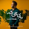 آهنگ «دیدی چی شد» با صدای سعید عرب منتشر شد