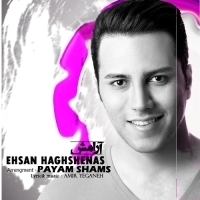 Ehsan-Haghshenas-Aramesh