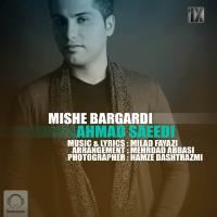میشه برگردی - Mishe Bargardi