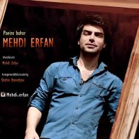 Mehdi-Erfan-Paeiz-o-Bahar
