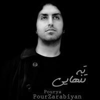 Pourya-Pourzarabiyan-Tahe-Tanhaei