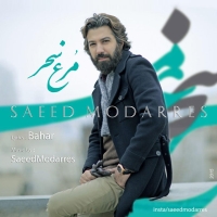 Saeed-Modarres-Morghe-Sahar
