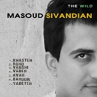 Masoud-Sivandian-Avar