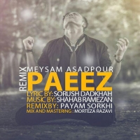Meisam-Asadpour-Remix-Paeez