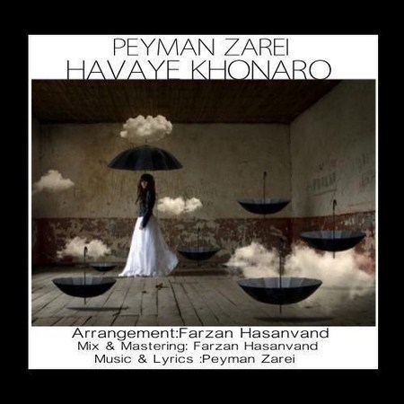 Peyman-Zarei-Havaye-Khoonaro