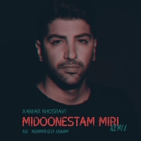 Midoonestam Miri (remix)
