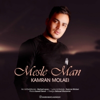 Kamran-Molaei-Mesle-Man