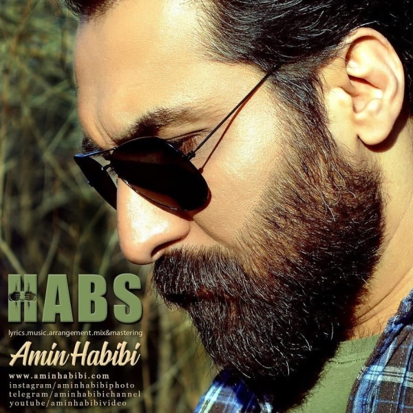 Amin-Habibi-Habs