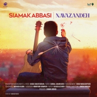 Siamak-Abbasi-Navazandeh