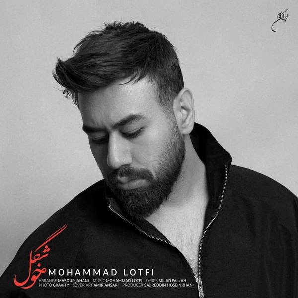 Mohammad-Lotfi-Khoshgel