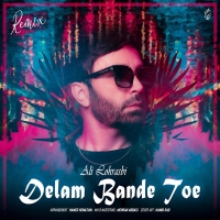 Delam Bande Toe (Remix)