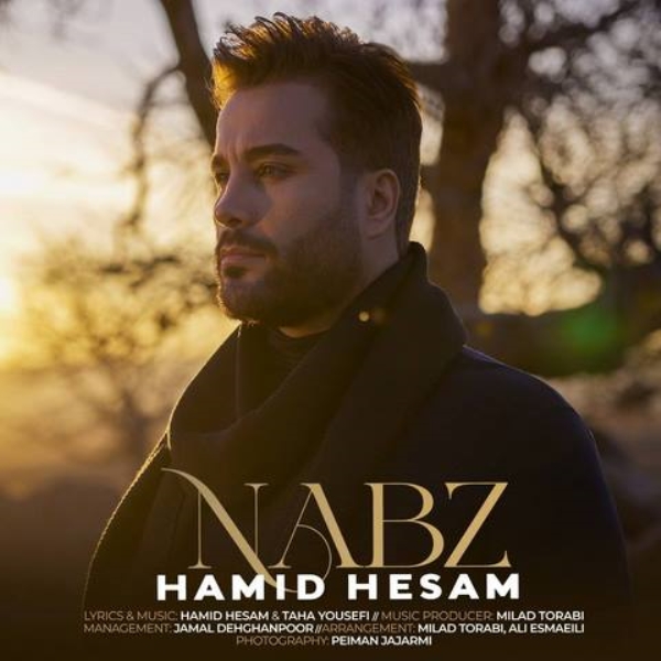 Hamid-Hesam-Nabz