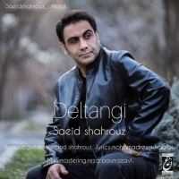 Saeid-Shahrouz-Deltangi