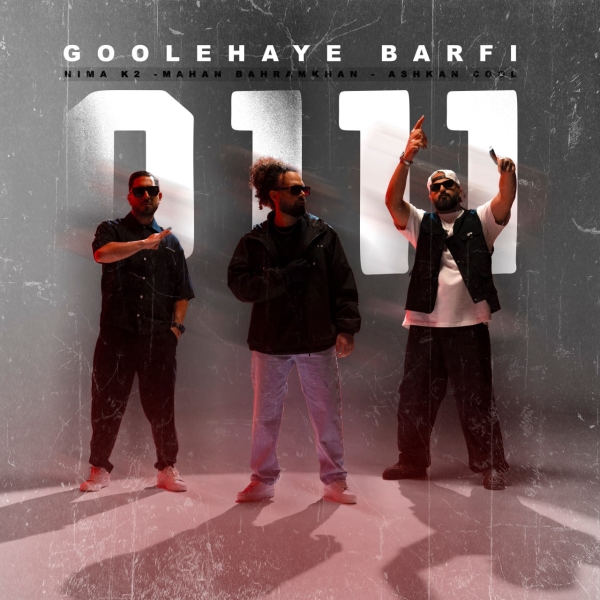 0111-Goolehaye-Barfi