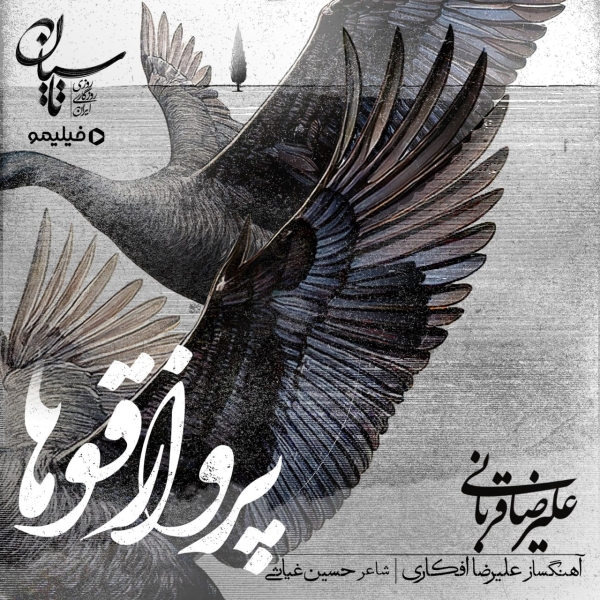 Alireza-Ghorbani-Parvaze-Ghooha