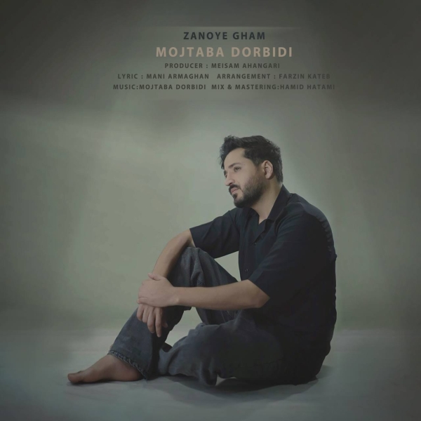 Mojtaba-Dorbidi-Zanooye-Gham