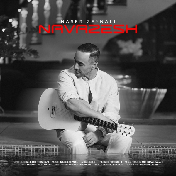 Naser-Zeynali-Navazesh
