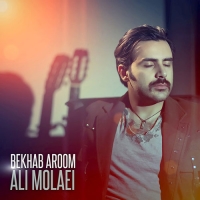 Ali-Molaei-Bekhab-Aroom