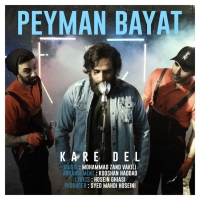 Peyman-Bayat-Kare-Del
