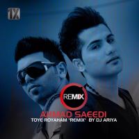Ahmad-Saeedi-Tooye-Royaham-DJ-Ariya-Remix
