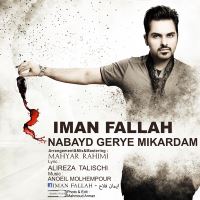 نباید گریه می کردم - Nabayad Gerye Mikardam (Remix)