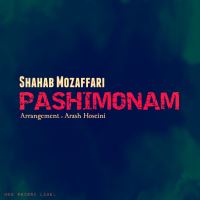 Shahab-Mozaffari-Pashimonam