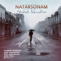 Shahab-Mozaffari-Natarsonam