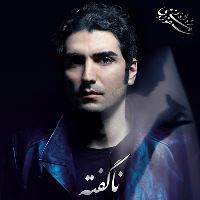 Hafez-Nazeri-Absolute-Nothi