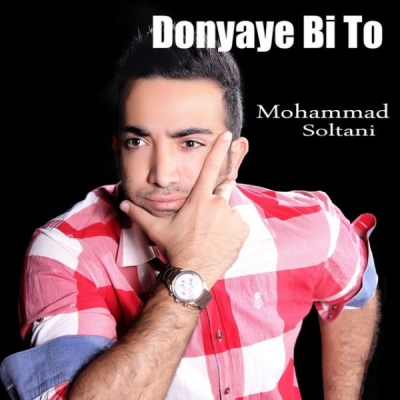 Mohammad-Soltani-Donyamo-Bordi