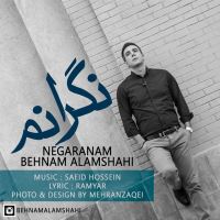 Behnam-Alamshahi-Negaranetam