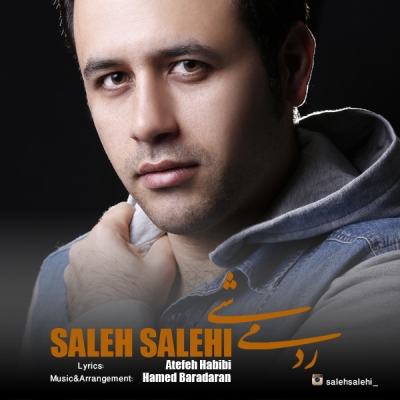 Saleh-Salehi-Rad-Mishi