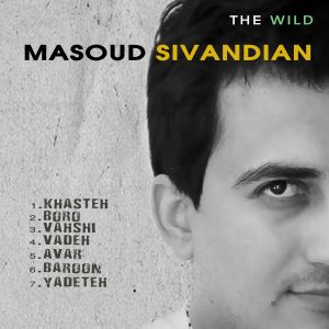 Masoud-Sivandian-The-Wild