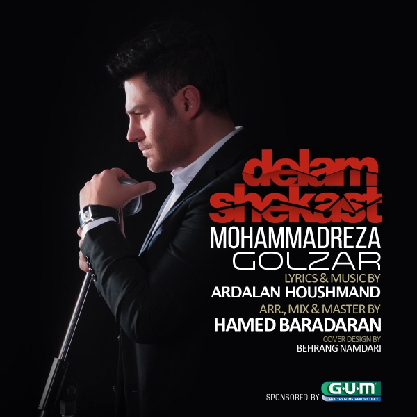 Mohammadreza-Golzar-Delam-Shekast