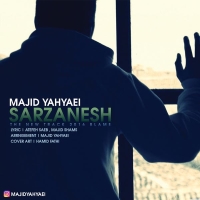 Majid-Yahyaei-Sarzanesh