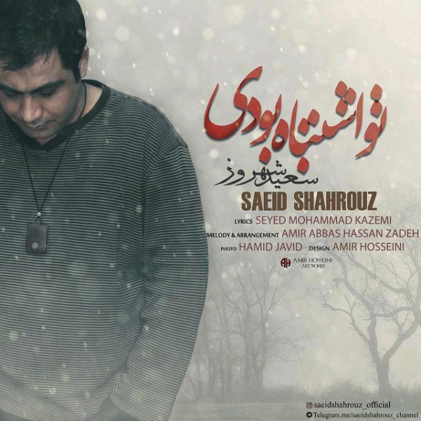 Saeid-Shahrouz-To-Eshtebah-Boodi