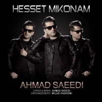 Ahmad-Saeedi-Hesset-Mikonam