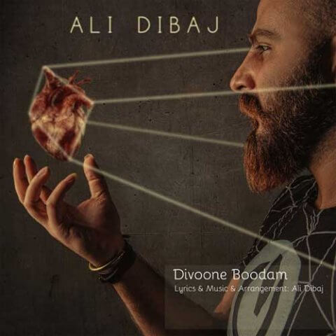 Ali-Dibaj-Divoone-Boodam