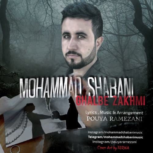 Mohammad-Shabani-Ghalbe-Zakhmi