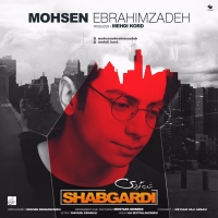 Mohsen-Ebrahimzadeh-Shabgardi