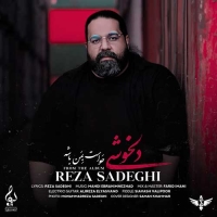 Reza-Sadeghi-Delkhoshi