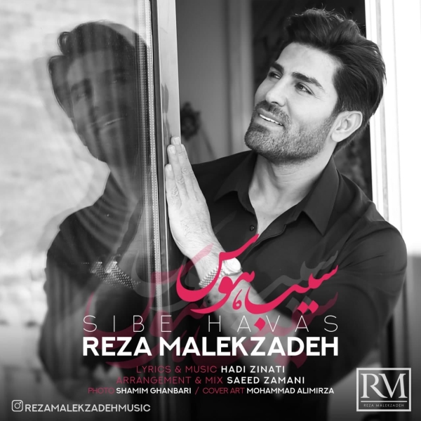 Reza-Malekzadeh-Sibe-Havas