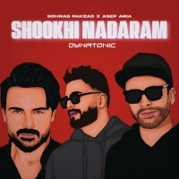 شوخی ندارم (ریمیکس) - Shookhi Nadaram (Remix by Dynatonic)