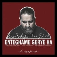 انتقام گریه‌ها - Enteghame Gerye Ha