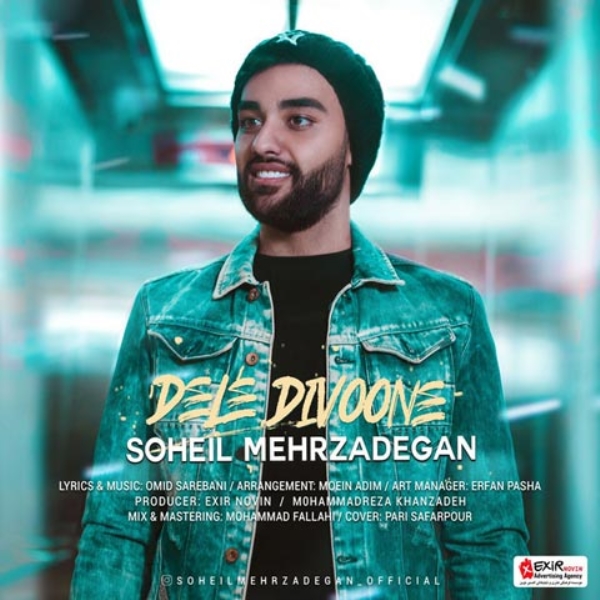 Soheil-Mehrzadegan-Dele-Divooneh