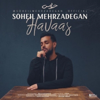 Soheil-Mehrzadegan-Havaas