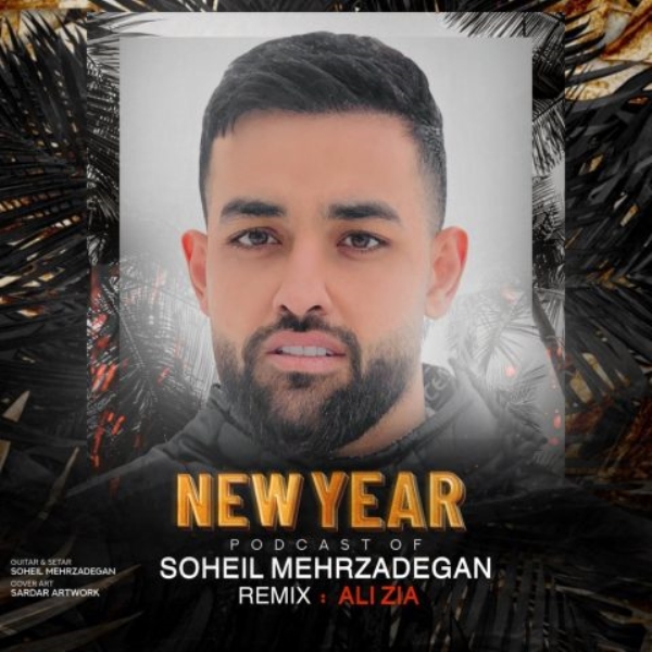 Soheil-Mehrzadegan-New-Year-Podcast